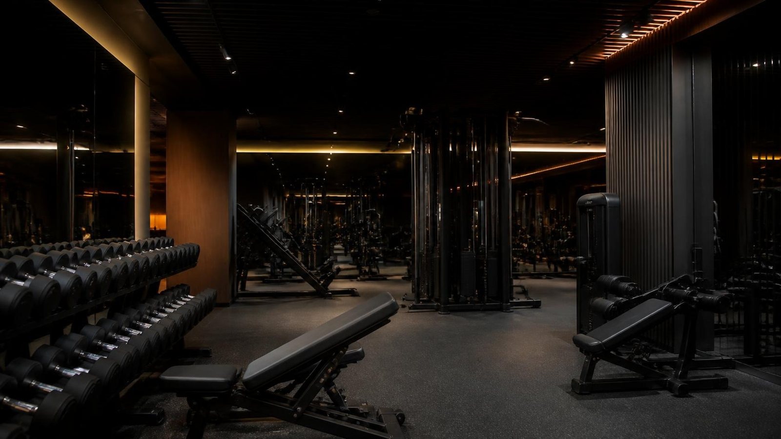 Gyms & Fitness sample image