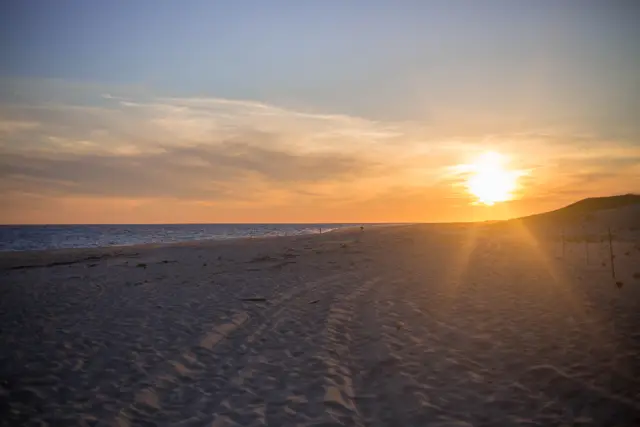 Cholistan dunes, image 3