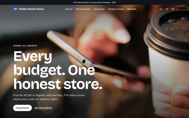 Home page of Mobile Mandi Online, a sample lookbook layout website